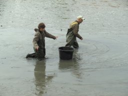 Abfischen 2006